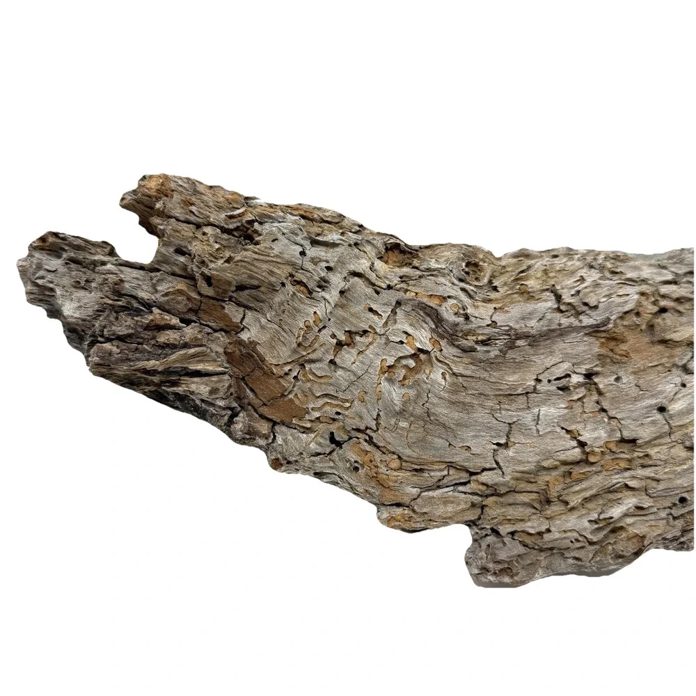 Curved Weathered Driftwood Slab with Deep Texture – Organic Natural Wood Decor